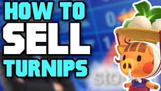 How to SELL TUPNIPS for More Bells - Animal Crossing New Horizons