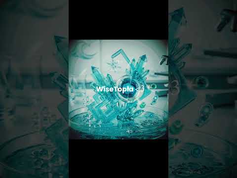 WiseTopia ❤️
