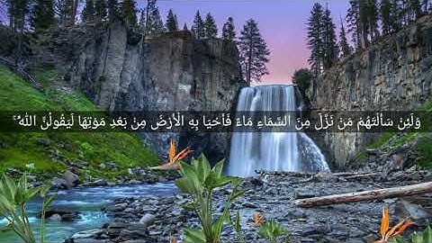 حالات واتساب بدون حقوق ( القران الكريم ) اسلام صبحي الاية 63 من سورة العنكبوت