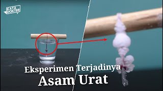 Proses Terbentuknya Asam Urat Dengan Percobaan Sederhana | Kata Dokter