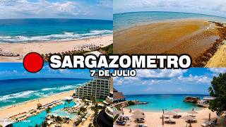 Playa del Carmen aun con Sargazo | SARGAZOMETRO 7 de Julio