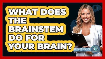 What Does The Brainstem Do For Your Brain? - Psychological Clarity