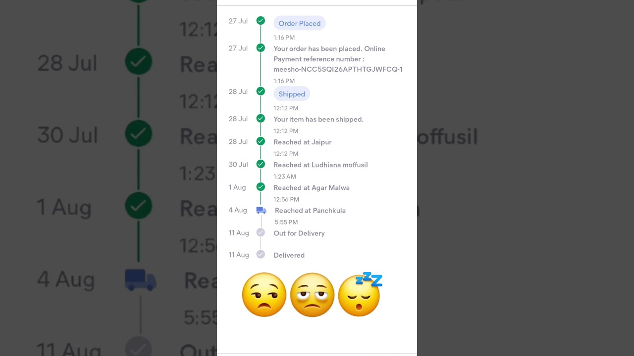 Slow Delivery On Meesho 🫩😒😴........ // MY FIRST ORDER ON MEESHO 😑