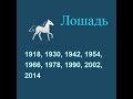 Год лошади, гороскоп составленный психологом Натальей Кучеренко.