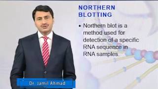 BIO203 Topic051