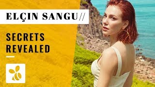 Things You Didn39t Know About Elin Sangu