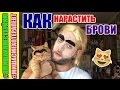 Лайфхак: как нарастить брови/ ПАРОДИЯ