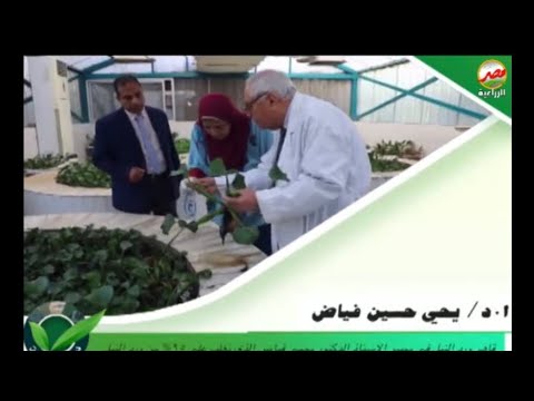 عالم مصري يكشف خطورة ورد النيل و تأثيره على حصة مصر المائية برنامج نبض الزراعة مع وائل الحضري