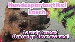 Hundesport Lasch Facebook Hundesport Lasch Facebook