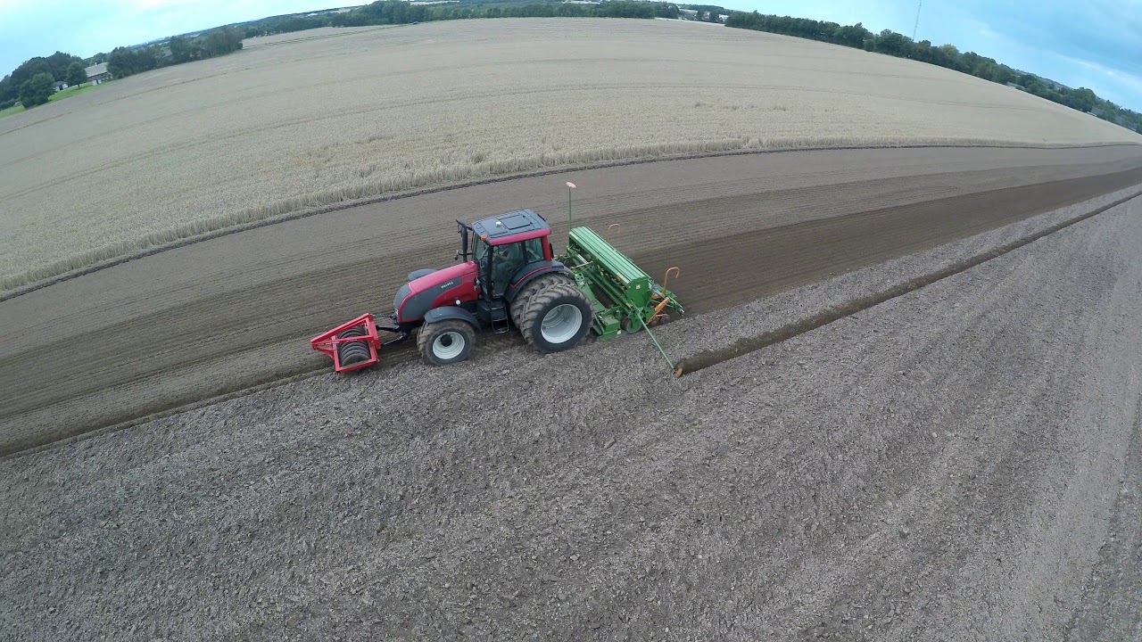 Rapssåning 2017 - Valtra T191 + Amazone AD403