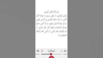 95_سورة التين#اسلاميات #القرآن_الكريم #اكسبلور #العظماء #الظروف #ترند_تيك_توك #ترند #العلم#الحزائر