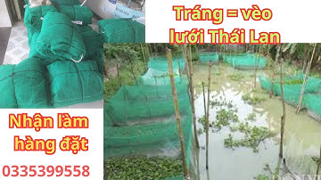 Tráng - Vèo lưới Thái Lan nuôi ốc cá tôm ệch lươn,,,,,,,, To nhỏ điều có