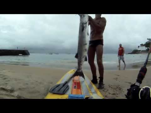 Pesca de Prancha Extrema - Barracuda