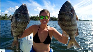 Diving for Dinner! Sheepshead Catch Clean & COOK!