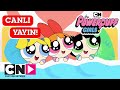 POWERPUFF GIRLS | Okul Sonrası Eğlence! | Cartoon Network Türkiye