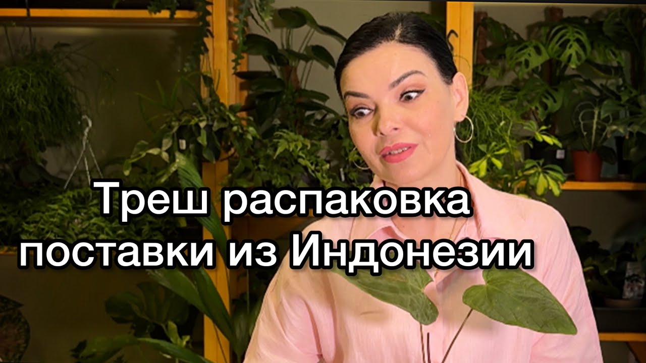 Распаковка ШОК‼️Поставка растений из Индонезии задержалась 🫤3 недели в пути 😮И кто же выжил ?!🤔