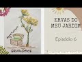 Ervas do Meu Jardim - Erva-doce | Aula 6