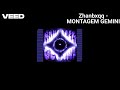 Zhanbxqq MONTAGEM GEMINI Unofficial Vizualizer