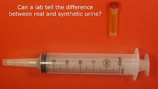 Can Labs Tell The Difference Between Real And Synthetic Urine?