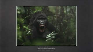 the 85mm changed how i photograph animals