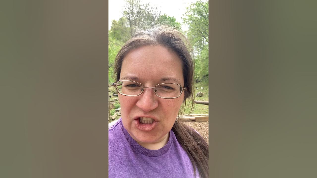 How do chickens clean themselves? Dust bathing! chicken dust 