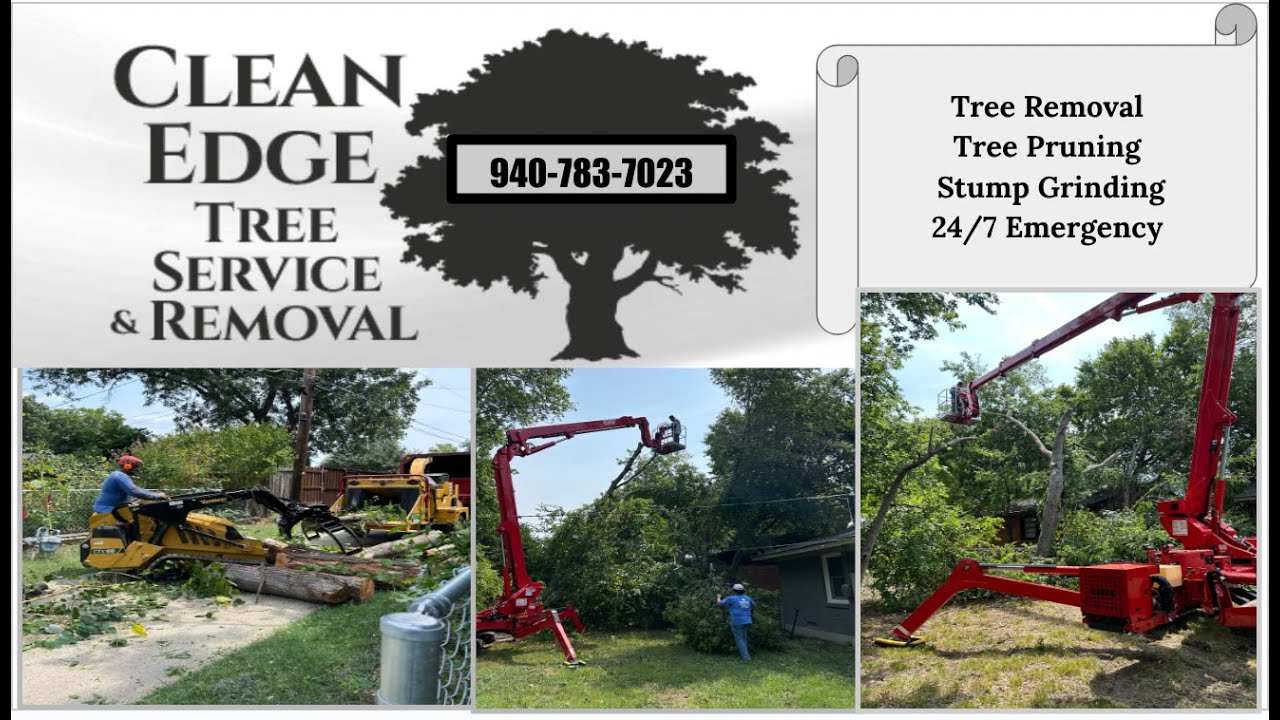 Leaning Tree Removal & Clearing Fence Line - Clean Edge Tree Service ...