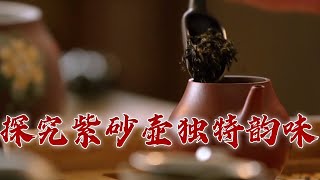 《百家讲坛》 20231009 品赏紫玉金砂 2 文心唤壶韵|CCTV百家讲坛官方频道