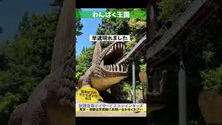 【山中渓駅〜わんぱく王国】大阪のJRで最も○○の駅と恐竜の王国！