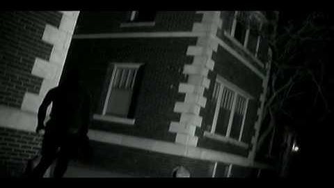 International Espionage! - "Cat