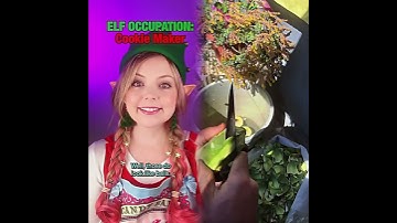 #pov_DSYhMZLvsB0#pov Every Elf is given an occupation... Pt 3