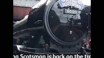 Week on the Network - 20/04/18