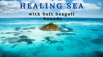 Tropical Beach & Palm Trees on a Island- Soothing Wave Sounds with Seagull