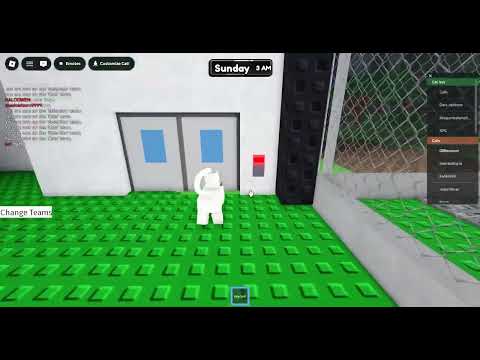 The Cat Shelter escape speedrun (19:36)