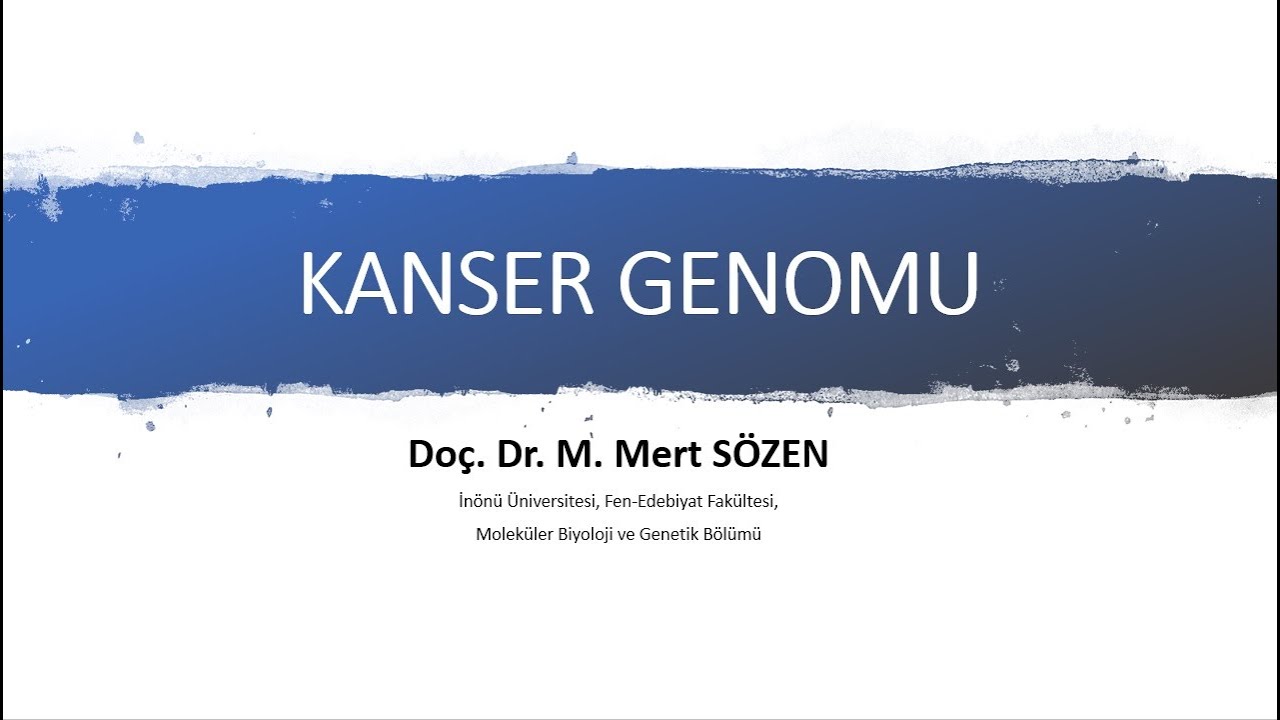 Kanser Genomu