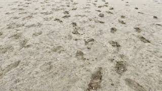 ЗАПОРОЖЬЕ ДНО КАХОВСКОГО ВОДОХРАНИЛИЩА июнь 23 год