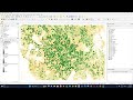 Calculate NDVI using QGIS