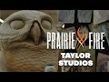 Taylor studios inc  prairie fire 1002