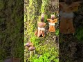 キャンプ場でどんぐりアート。秋の遊び方