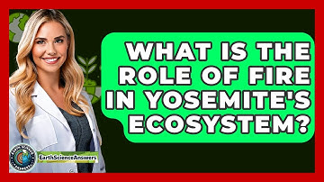 What Is The Role Of Fire In Yosemite