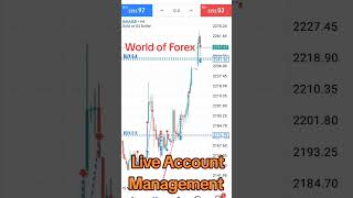 Live Account Management goldanalysis punjabi punjabisong forexsignal forexanalysis song gold