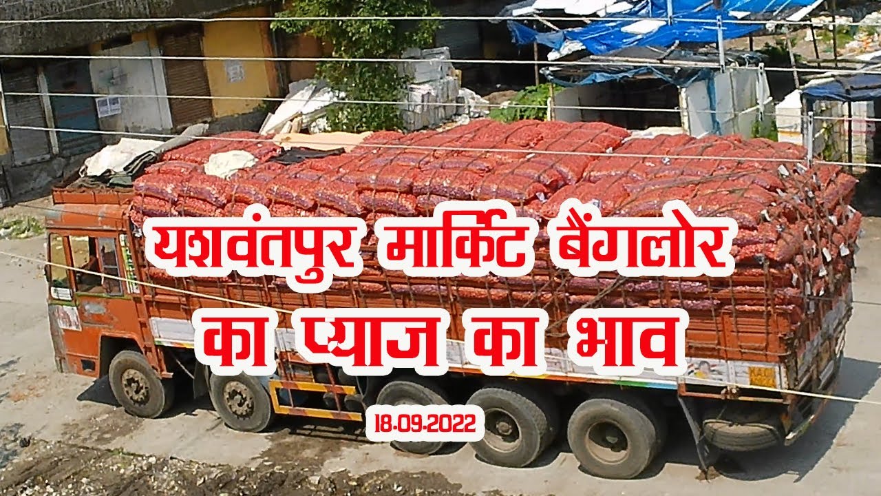 Today Onion Price In Yeshwanthpur Market Rate Of Onion YouTube Today Onion Price In Yeshwanthpur Market Rate Of Onion YouTube