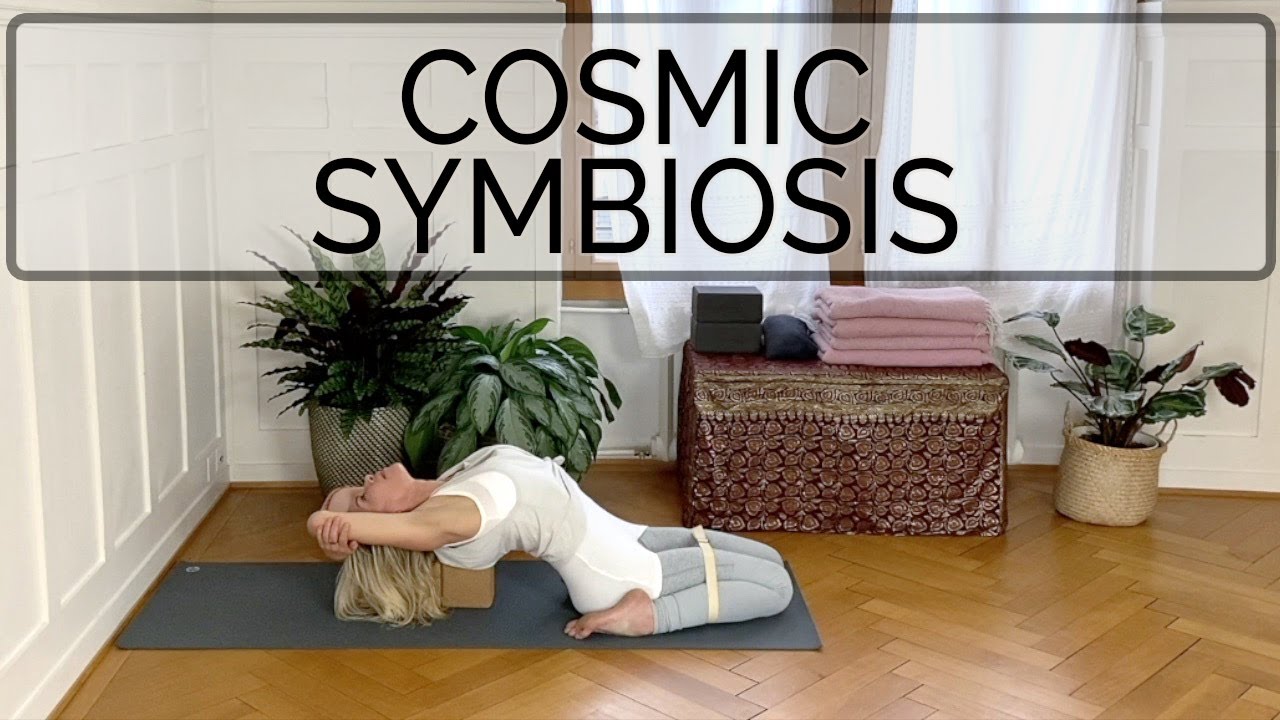 Yang Yin Practice Cosmic Symbiosis 78 min Advanced Level Cat de