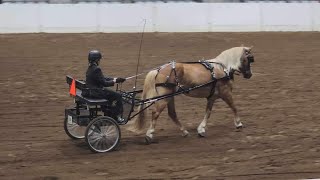 Emmalee Setzer & Doc - 2025 Ohio Equine Affaire Ride with a Pro Clinic Application