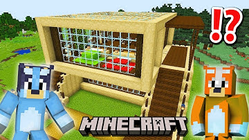 Bluey and Bingo BUILD Modern Wooden House In Minecraft