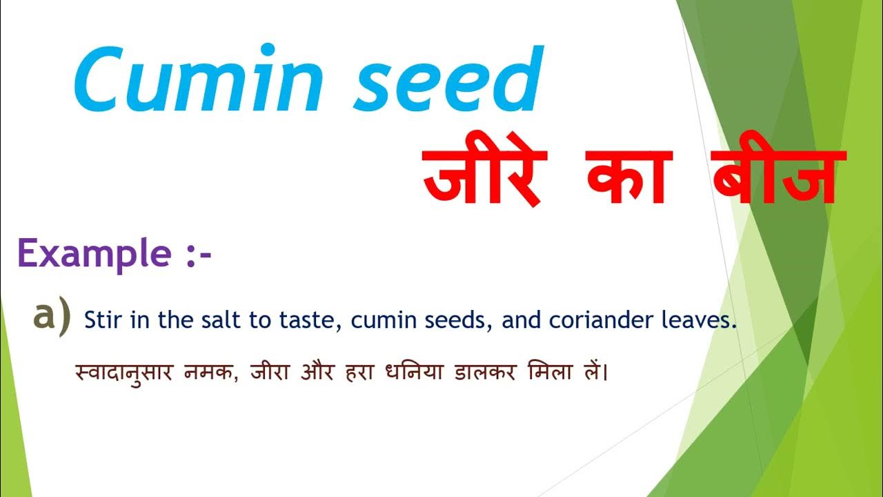 Cumin seed meaning in hindi YouTube