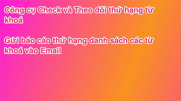 Tool Check, theo dõi và kiểm tra thứ hạng từ khoá chính xác