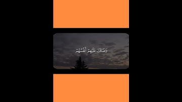 القارئ شادي هاني/حتى إذا ضاقت عليهم الأرض بما رحبت