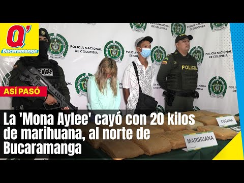 La ‘Mona Aylee’ cayó con 20 kilos de marihuana, al norte de Bucaramanga