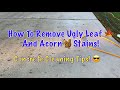 How to Remove Acorn and Leaf Stains From Concrete | Really Simple Method | Get Better Results!