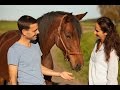 Leben Lieben Lernen - Kurzfilm zur pferdegestützten Persönlichkeitsentwicklung